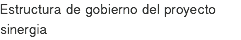 Estructura de gobierno del proyecto sinergia